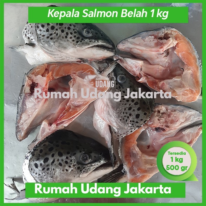 Kepala Ikan Salmon Segar 1 Kg Sudah Belah 5-6 Kepala Salmon Belah