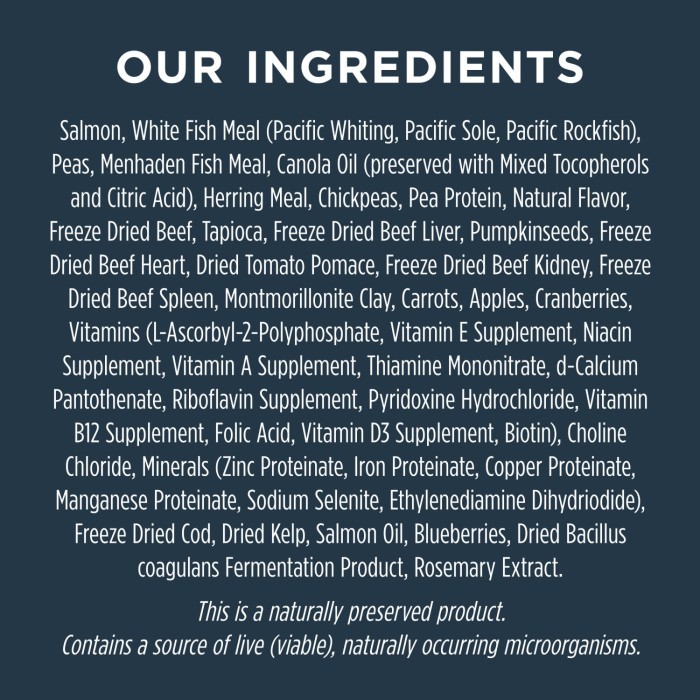 Instinct Dog Food Raw Boost Real Salmon Dry Dog Food #Gratisongkir