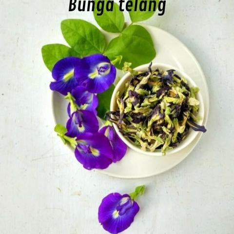 

Bunga Telang 1Kg / Buterfly Pea Tea Terlaris