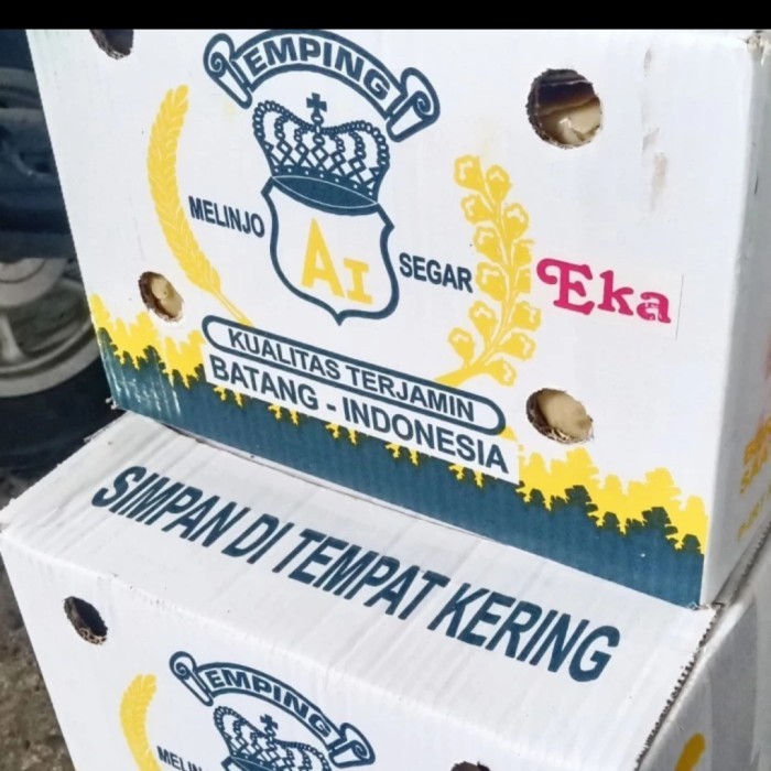 

Emping Melinjo Mentah 1 Dus Isi 5 Kg Barangbaru