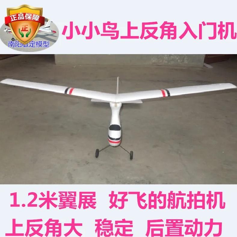 1200MM WINGSPAN MINI BIRD RC GLIDER EPS