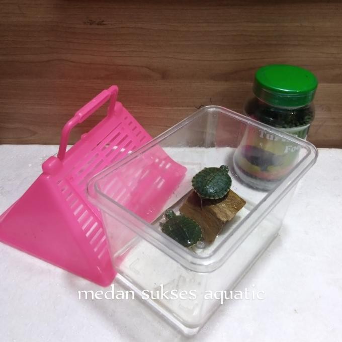 Paket Rumah , 2pcs Baby Kura Kura Brazil dan Pelet Kura Kura
