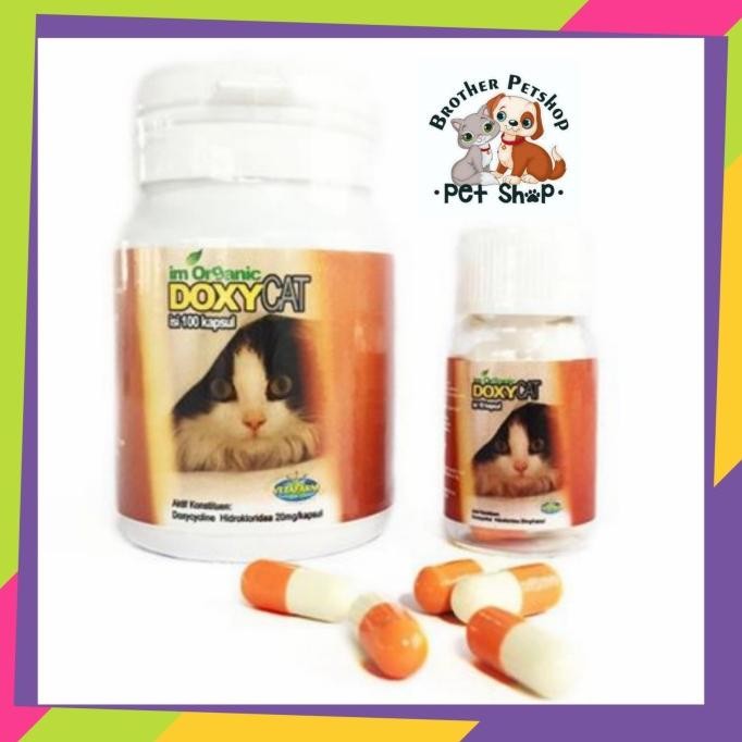 Obat Flu Kucing Doxy Cat 1 Btl 100capsul DoxyCat Im Organic Antibiotik