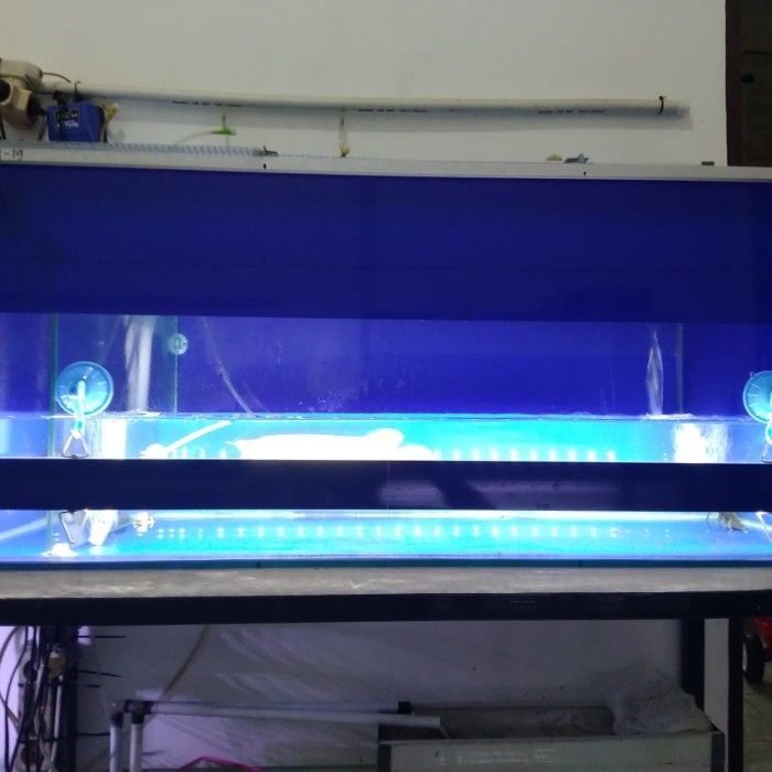 Terlaris Lampu Aquarium Led Hipower Utk Tanning Arwana,Louhan 100Cm/48W