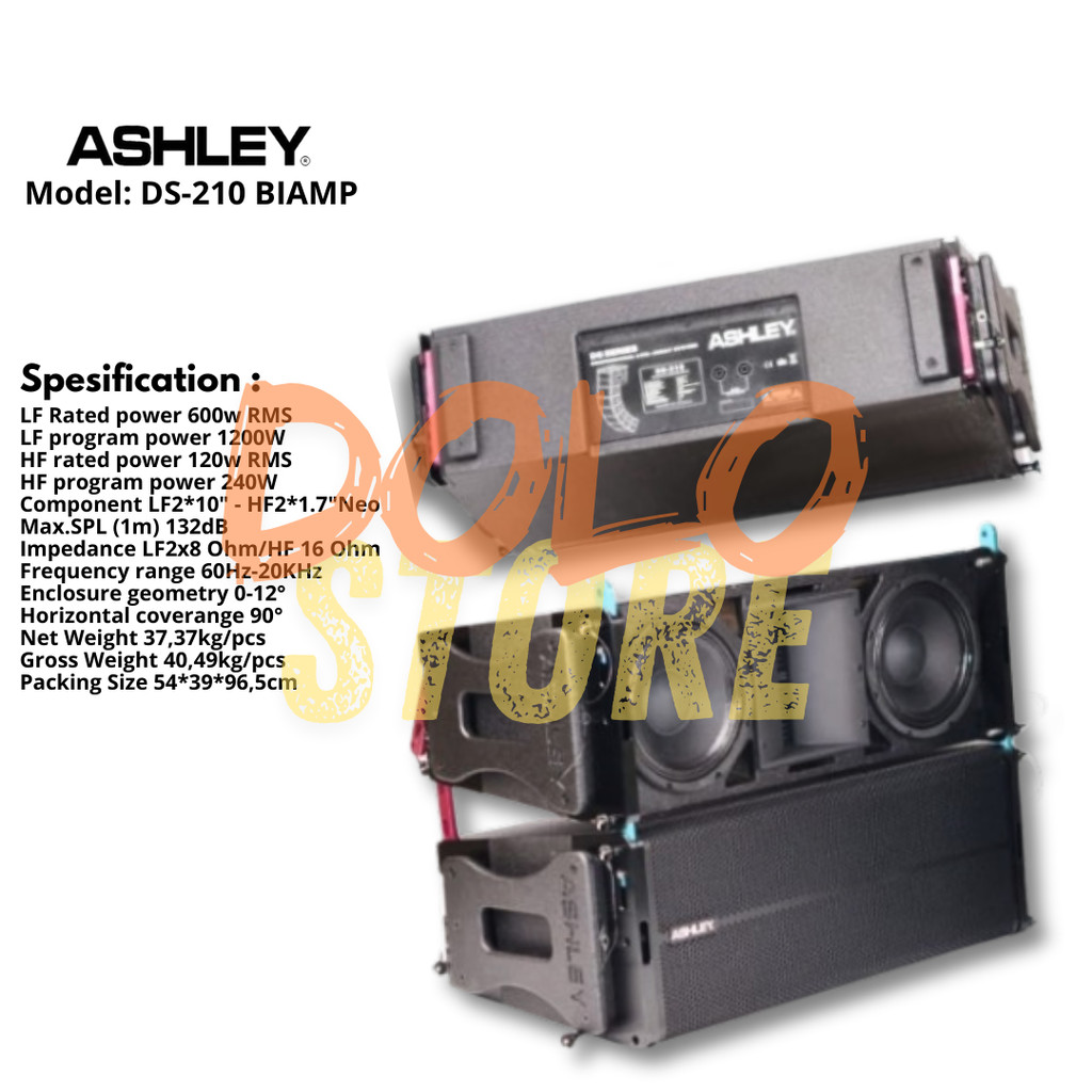 ORIGINAL LINE ARRAY ASHLEY  DS-210 BIAMP