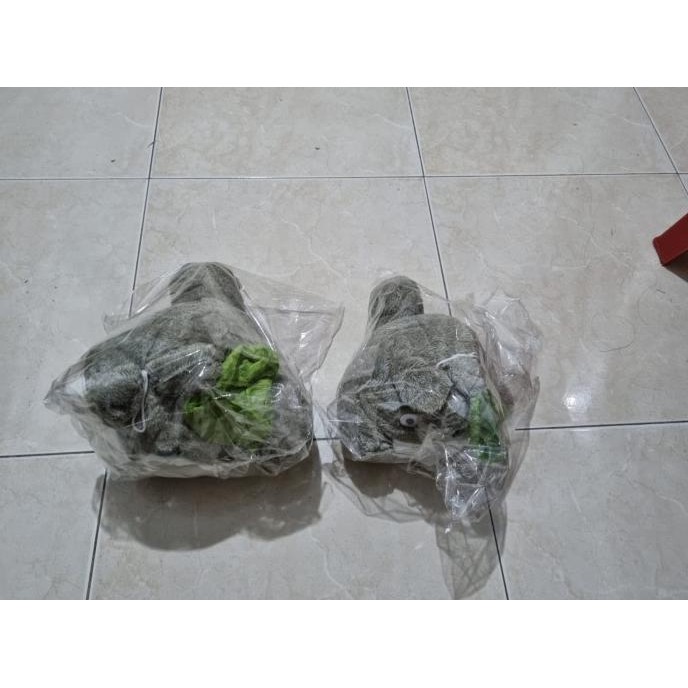 Balmut Totoro 38cm Boneka Totoro Boneka Kucing Totoro Boneka Valentine