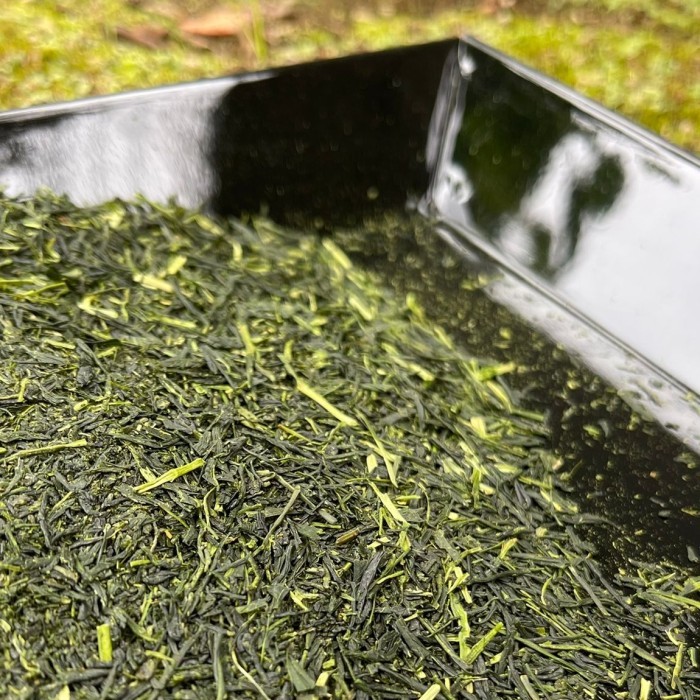 

Kagoshima Sencha Saemidori Premium Loose Leaf