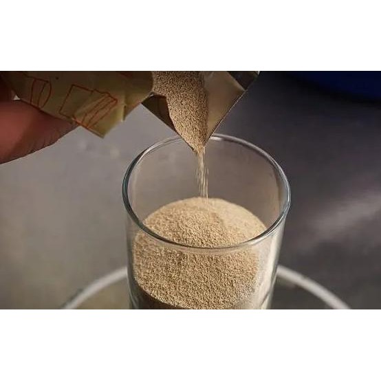 

Angel - Instant Yeast Gold 500 Gr / Ragi Kering