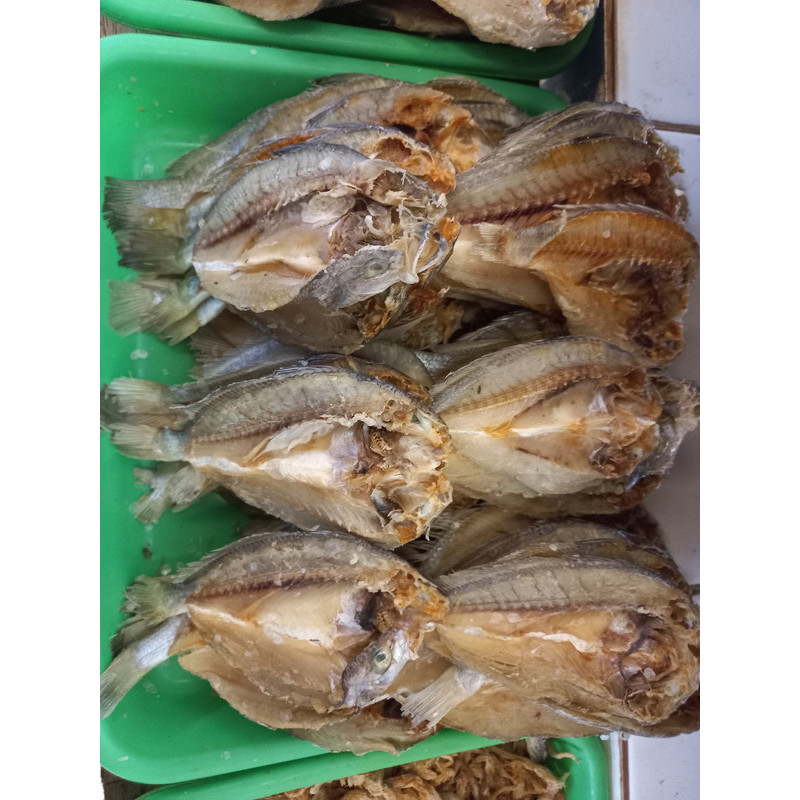 

Ikan asin gabus sedang 100 gr