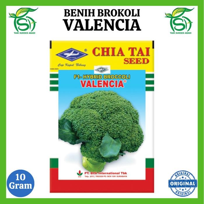 

Benih Brokoli Hijau Valencia 10 Gram - Bibit Bisi F1 Cap Kapal Terbang Berkualitas