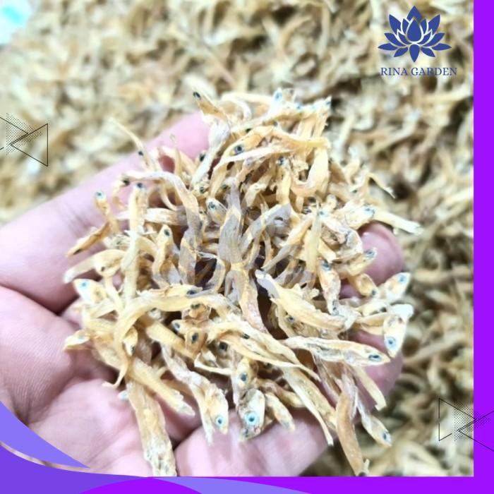 

IKAN TERI KECIL KERING TAWAR 100GR - IKAN TERI NASI KERING TAWAR BEST PRODUK