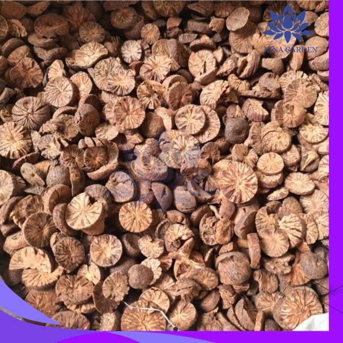 

PINANG MUDA IRIS KERING 100GR - JAMBE MUDA KERING KUALITAS TERBAIK