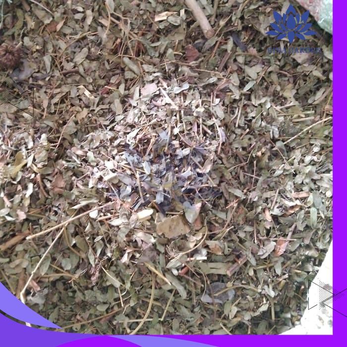 

DAUN SOGO KERING 500GR / DAUN SAGA KERING DIJAMIN GRATIS ONGKIR