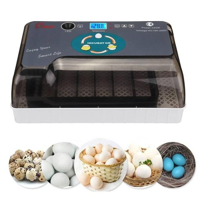 12 Egg Incubator | Mesin Penetas Telur Hhd 12 Automatis