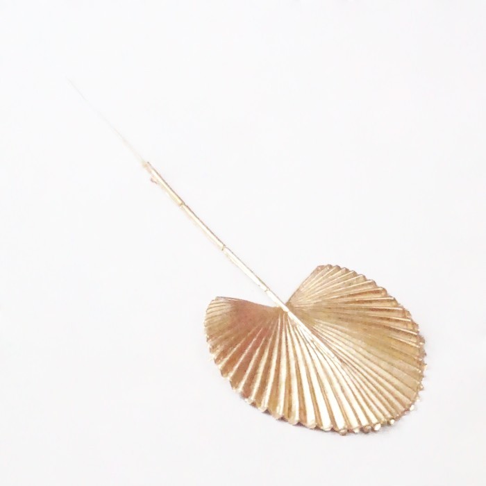 (:(:(:(] Daun Palem Emas Mini Dried Gold Palm Leaves Buket Dekorasi Bunga Hias
