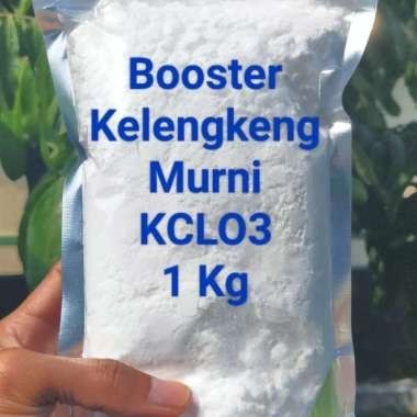 Produk Ready Pupuk Booster Kelengkeng Murni KCLO3 Asli Kemasan 1 Kg