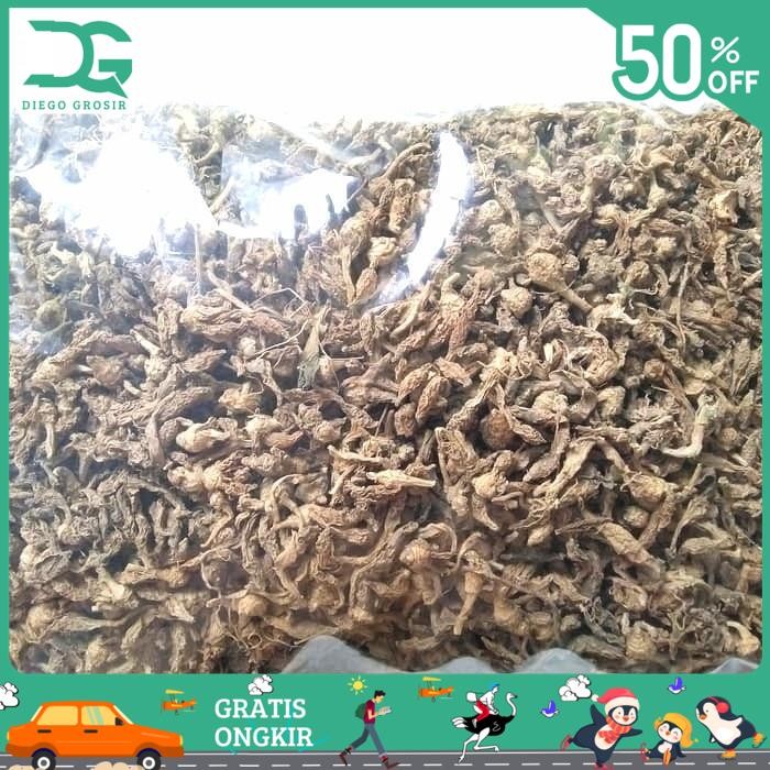 

BAHAN ALAMI KUNCI PEPET KERING 500GR / TEMU RAPET KERING BY DIEGO GROSIR KUALITAS PRODUK TERBAIK!!