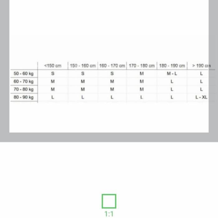 Lynx Protector Inline Skate/Skateboard Original