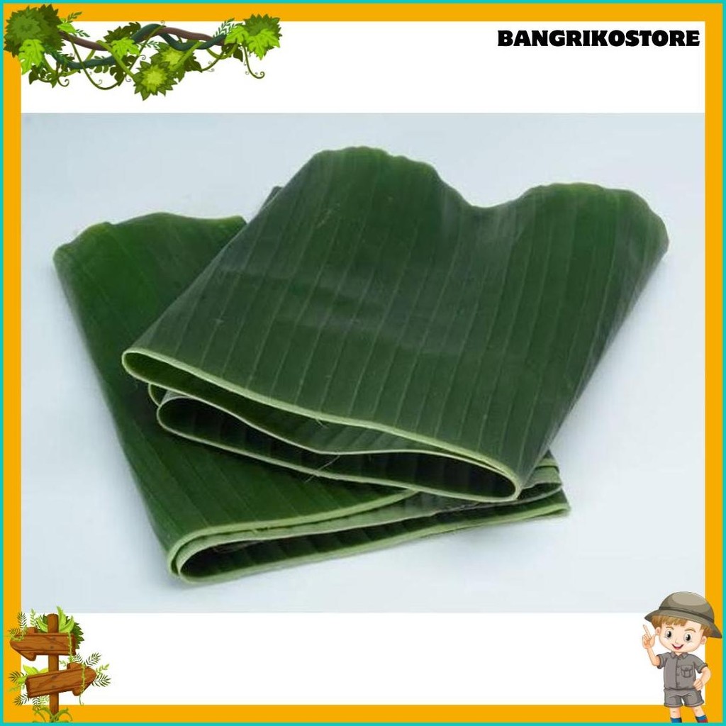 

Daun Pisang 1 Paket Isi 4-5 Lembar (Cod)