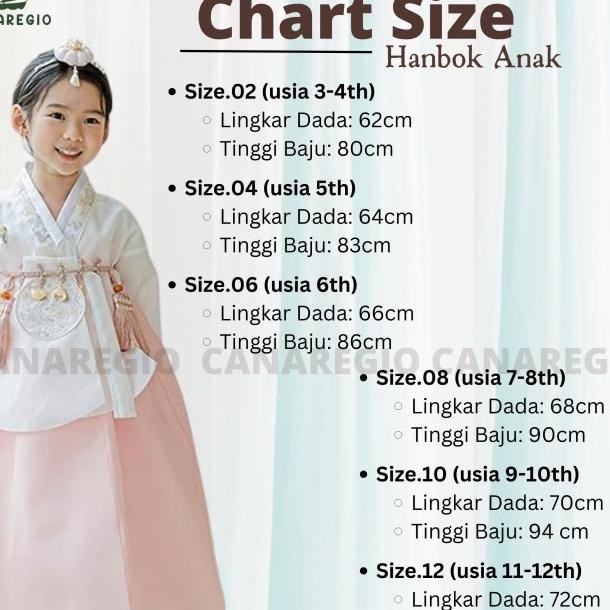 Hanbok Anak Korea Brocade Rok Organza Dress Hanfu