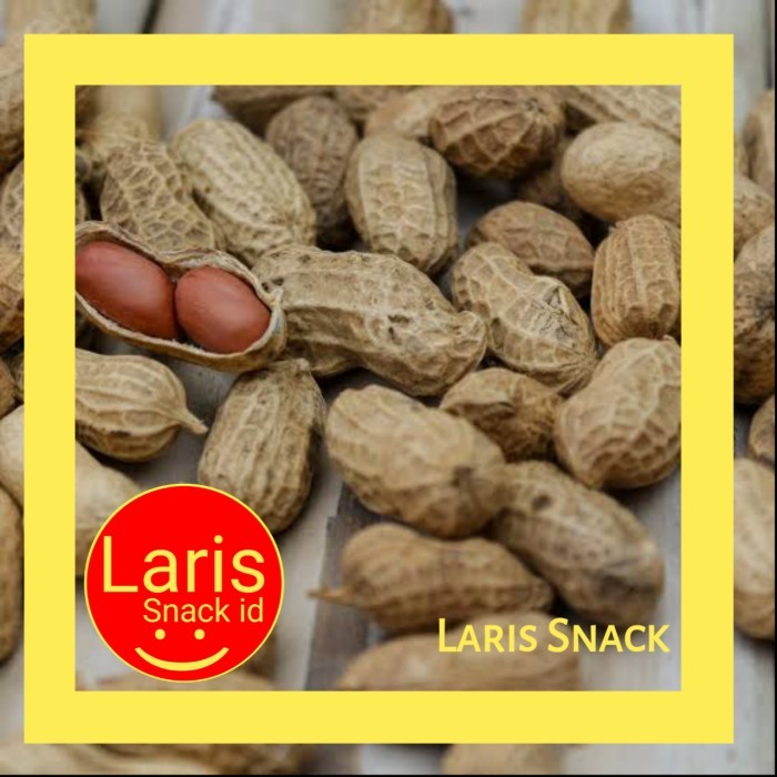 

DISKON KACANG KULIT 500GR / KACANG KULIT SANGRAI (PANGGANG) KACANG OVEN SUPER