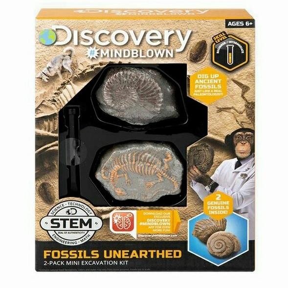 Discovery Mindblown Excavation Fossil Kit Mini fossils unearthed