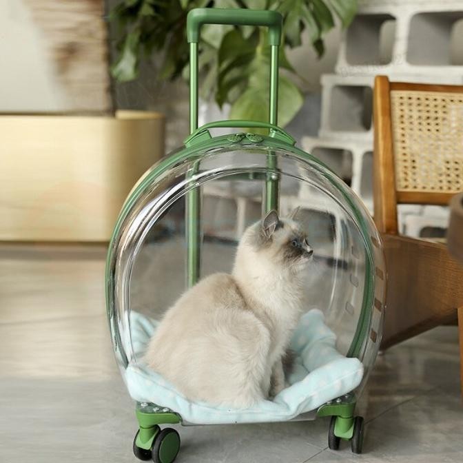 Tas Transparan Kucing Anjing Trolley Cargo Travel Bag Cat Dog Koper