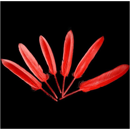 

DO311 Goose Feather 12-18cm DISKON