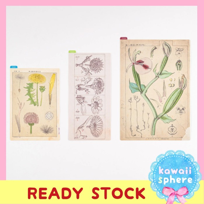 

TERMURAH - Hobonichi Pencil Board Tomitaro Makino Botanic Art Underlay Sheet