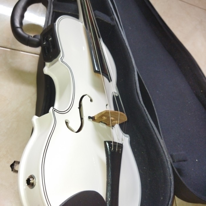 biola akustik elektrik lokal