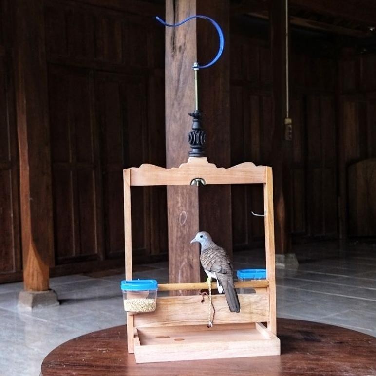 Sangkar Perkutut Layang Kandang Tangkringan Tali Kaki Burung