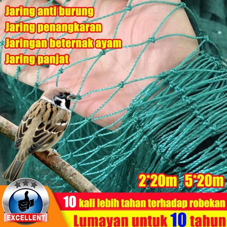 Ketahanan sobek meningkat 10 kali lipat Jaring anti burung 2x20m/5x20m tersedia selama 10 tahun Jari