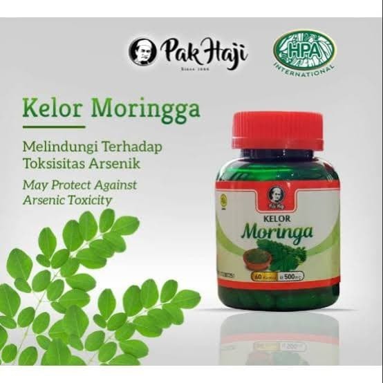

Termurah Kelor Moringa Moringga Hpa Pak Haji