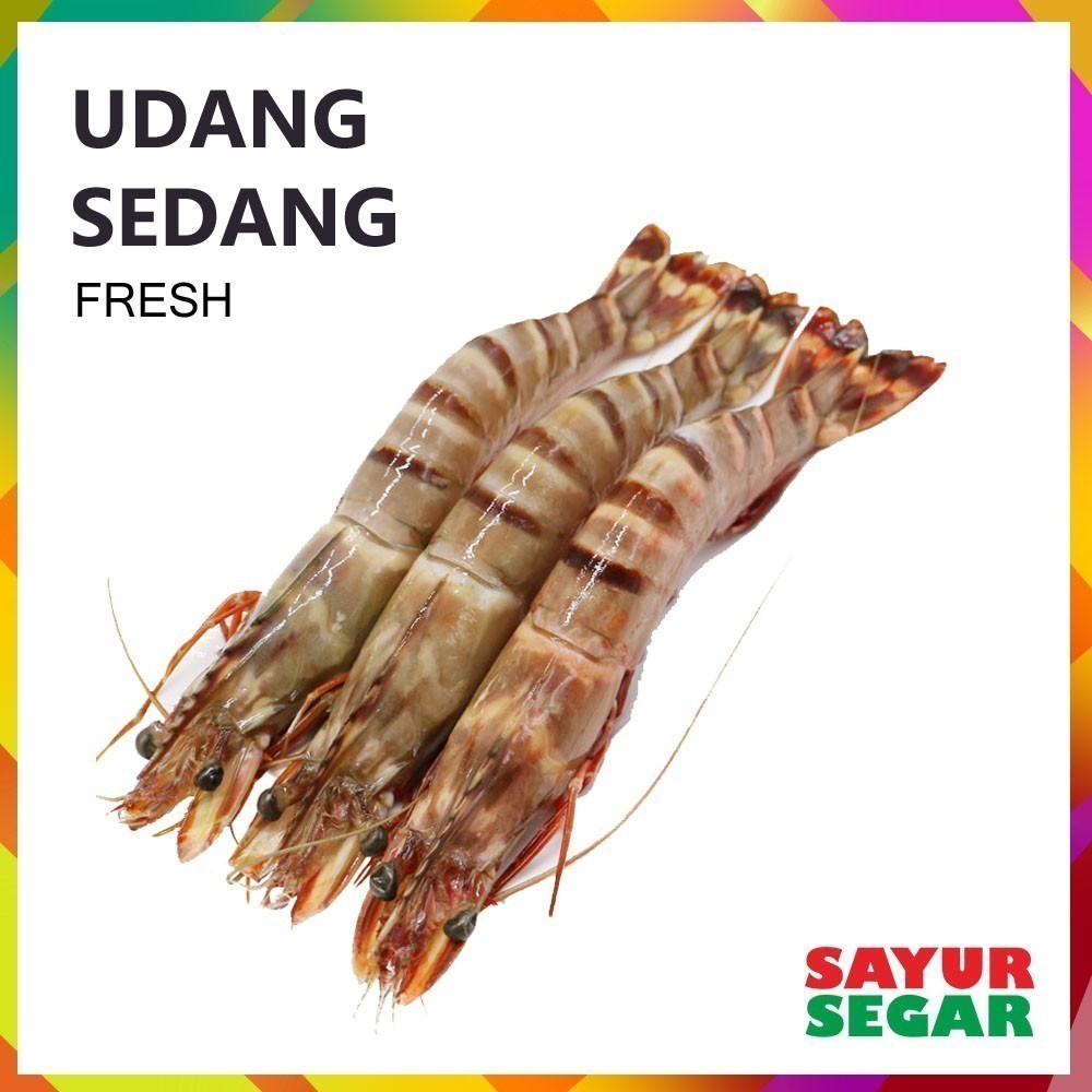 

Udang Frsh Uk. Sedang [250G]