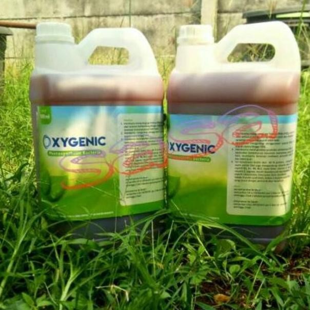 bakteri fotosintesis pertanian 5liter oxygenic/psb/pupuk cair tanaman