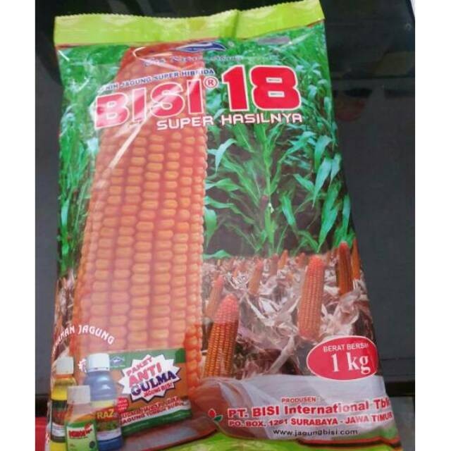 TERBARU Subur Benih jagung hibrida Bisi 18 isi 1kg jagung bisi18 bibit jagung