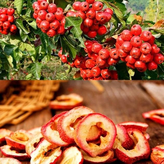Buah Shanca Kering/Dried Hawthorn Fruit. 1 Kg