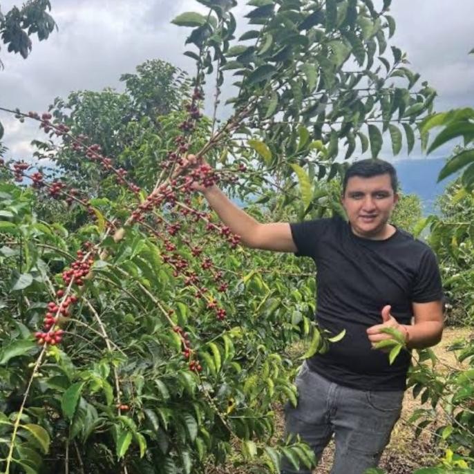 

Promo El Diviso Sidra Natural Exotic Coffee