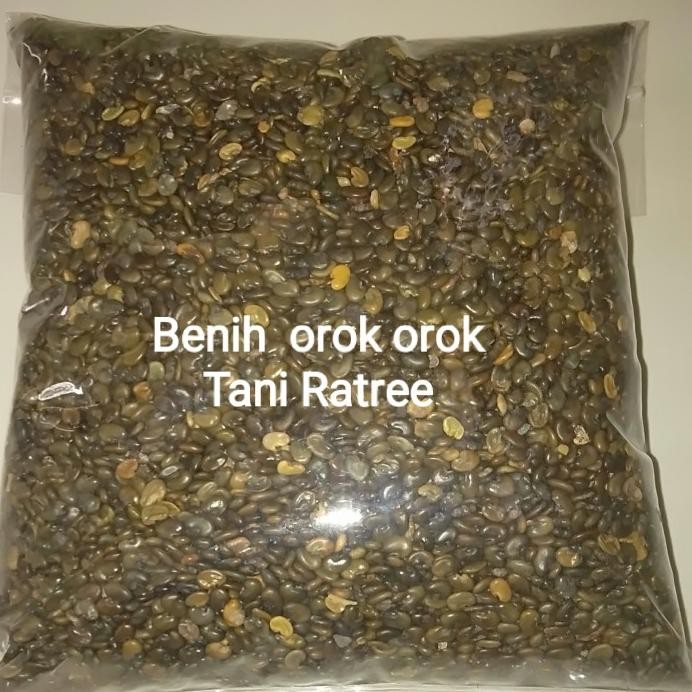 BENIH OROK-OROK (CROTALARIA JUNCEA)