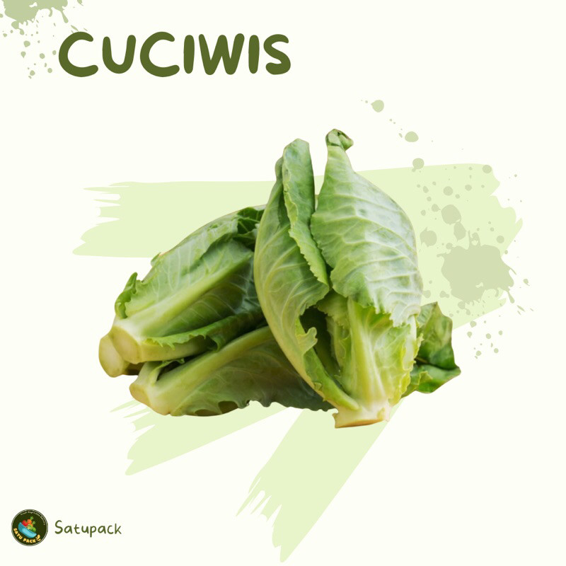 

BABY KOL / CUCIWIS - 500gr