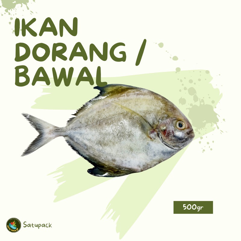 

IKAN BAWAL/IKAN DORANG SEGAR SUDAH BERSIH - 500gr 1Kg