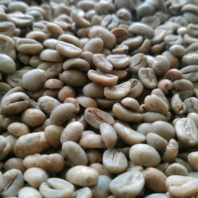

Green Bean Arabika | Arabika Argopuro | Arabika Natural | Biji Kopi