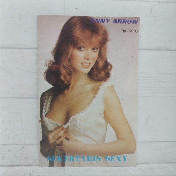 Enny Arrow Sekertaris Sexy BUKU Langka
