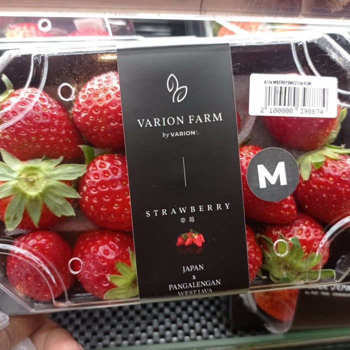 

Strawberry Red Sweet Harumi Bibit Jepang / pack