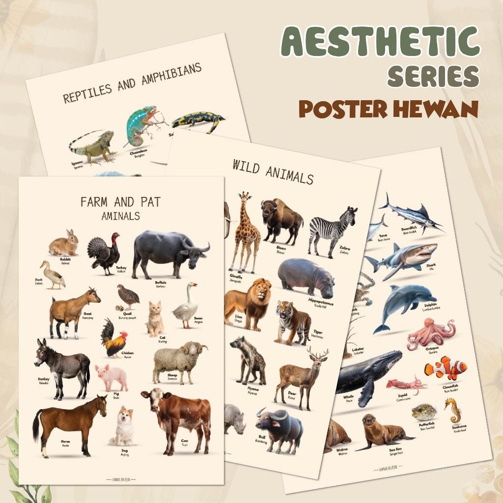 

Adaajaa Poster Edukasi Binatang Seri Aesthetic Dengan Gambar Hidup Hewan KP130FREE ONGKIR