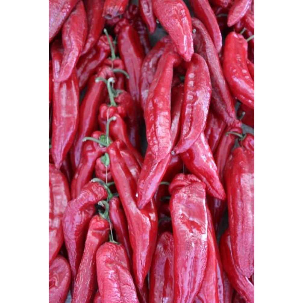 

Lombok Besar Kering (1 Kg) / Lombok Ambulu / Lombok Habang / Dry Red Chili India / Cabe Kering Indian / Whole Chillies Mirch Chilli