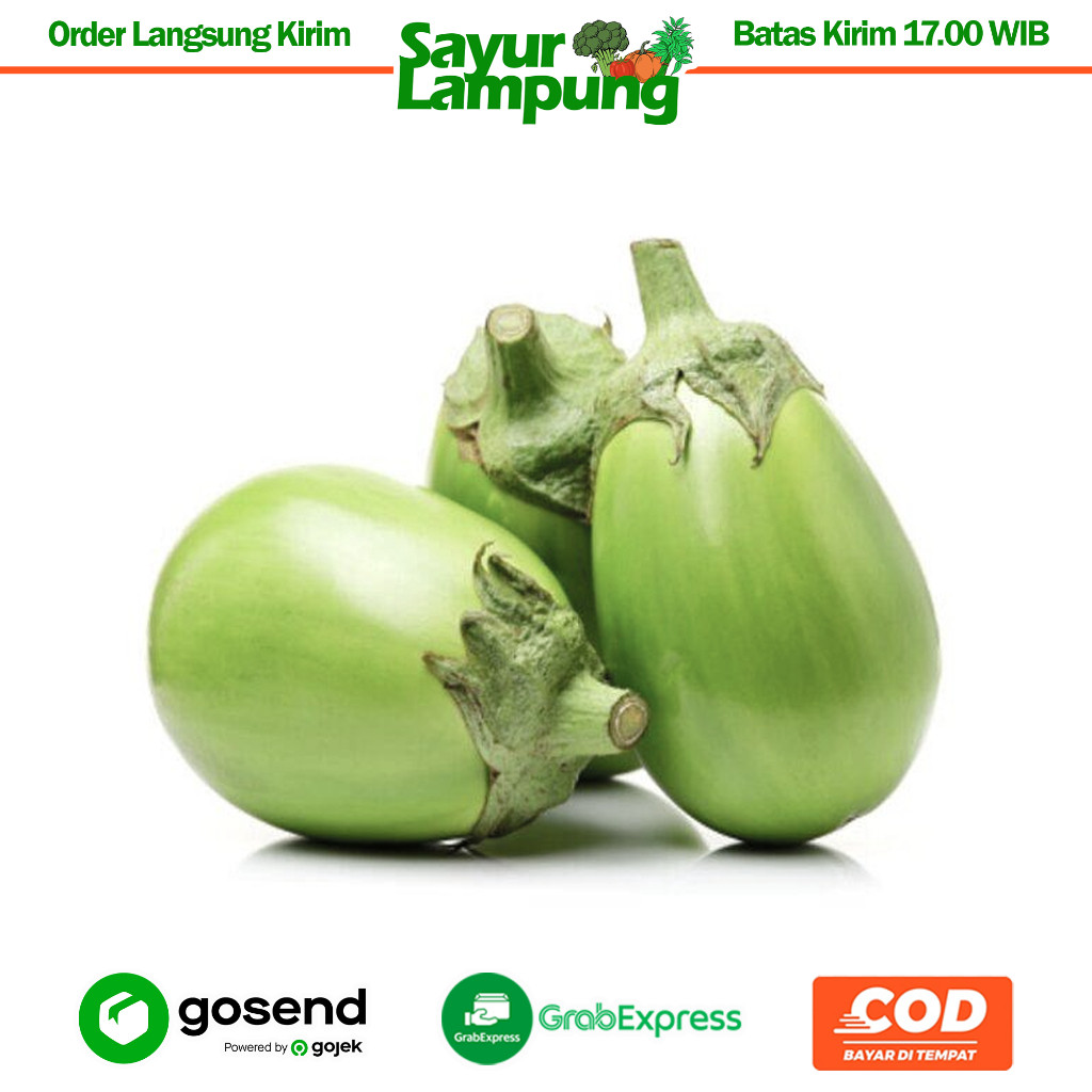 

Terong Pondoh 1 Kg - Sayur Lampung