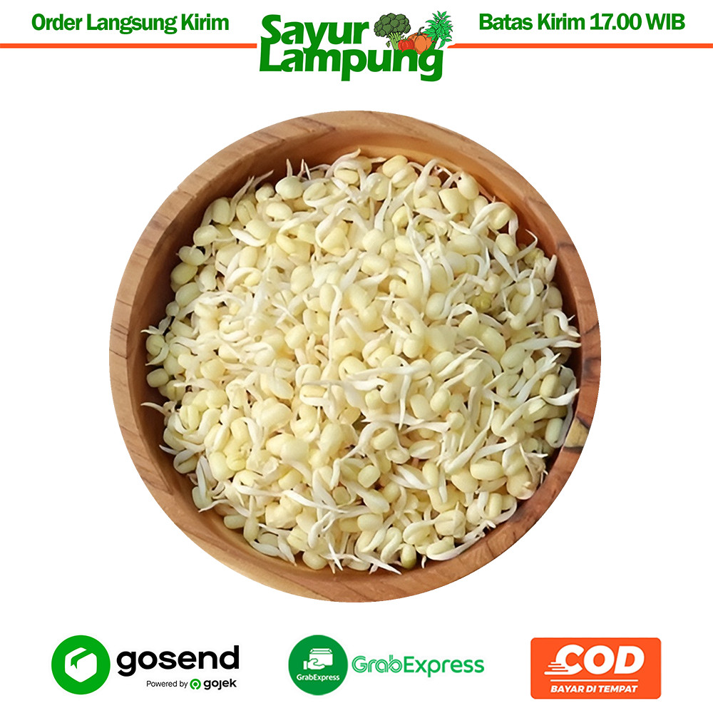 

Tauge/Toge Soto 250 Gr - Sayur Lampung