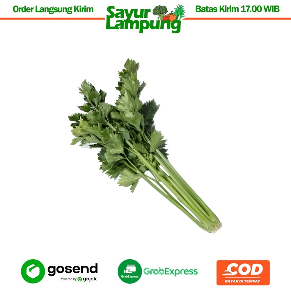 

Daun Sledri / Seledri 1 Ikat - Sayur Lampung