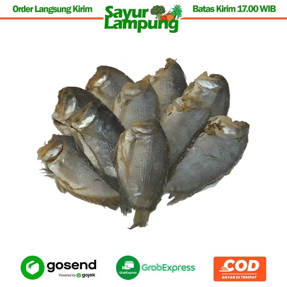 

Ikan Asin Sepat / Tembakang 100 Gr - Sayur Lampung